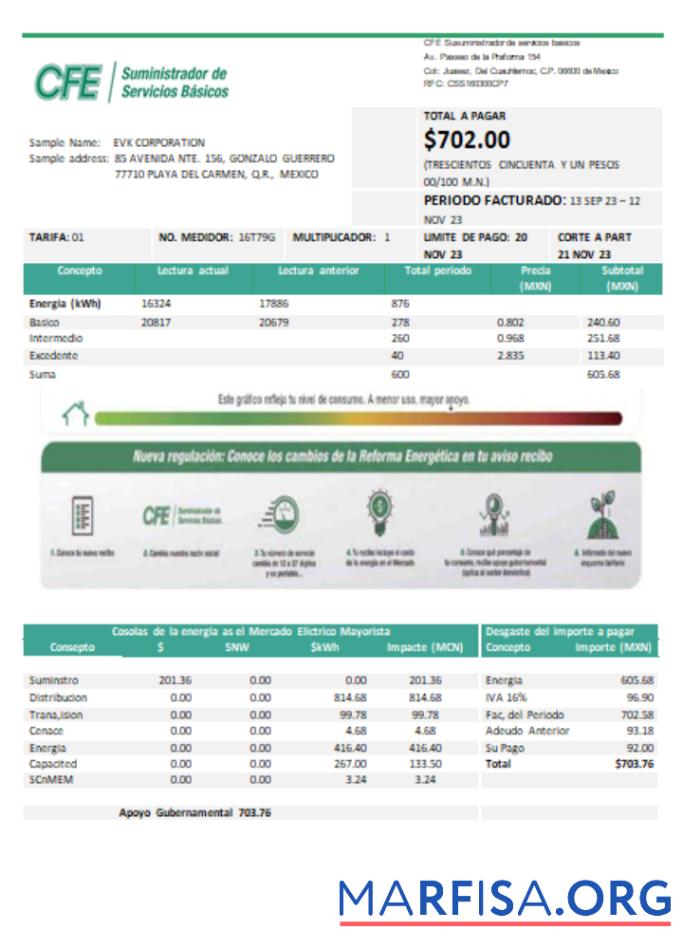 Blank CFE electricity utility business bill, SCR sample